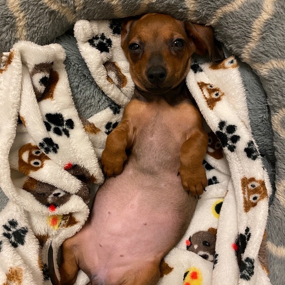 THANK YOU ❤️ - Picture 2 of 14